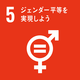 SDG5 icon