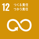 SDG12 icon