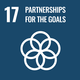 SDG17 icon